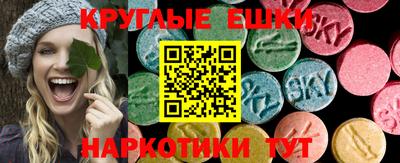 герыч Донской