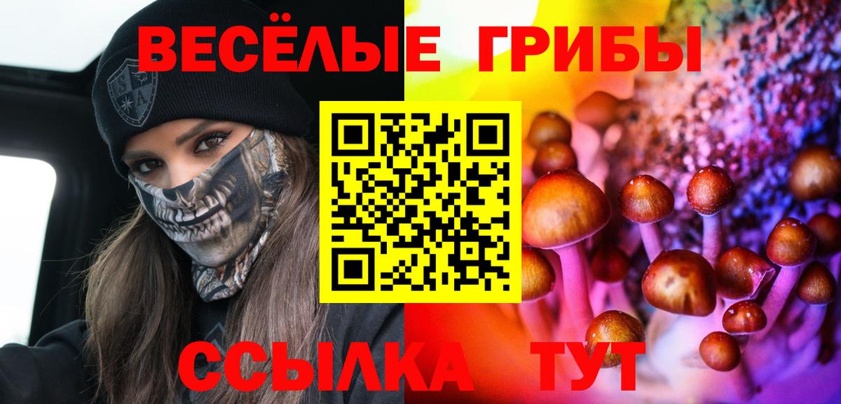 Галлюциногенные грибы мицелий Миллерово